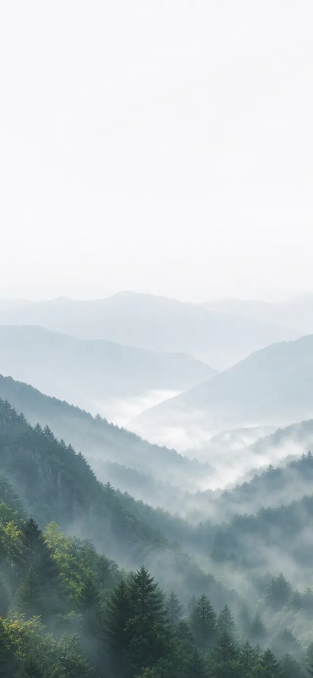 Pale Mountain Rest v2