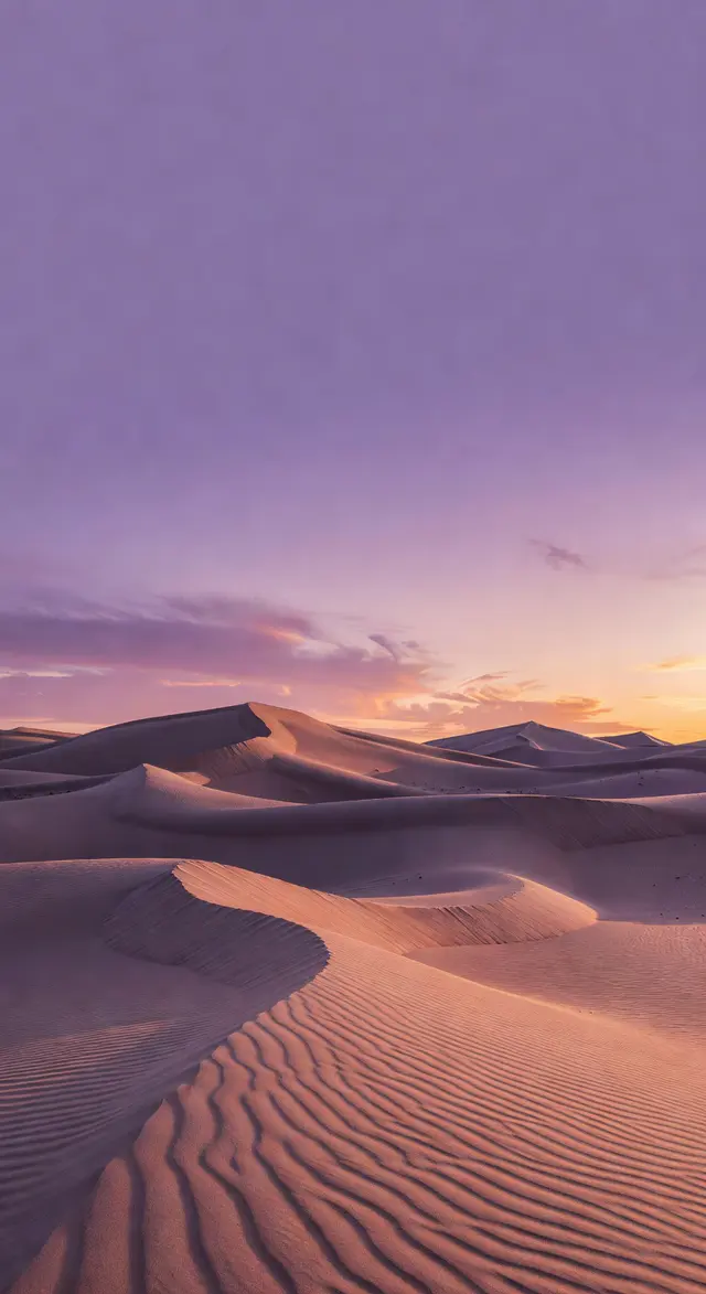 Twilight Desert Dunes